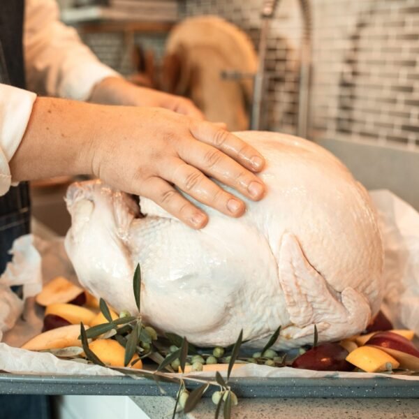 Preparation of a raw turkey on a baking tray surrounded by fresh apples ready for cooking.